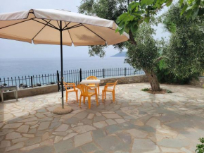 Seafront Villa Fay
